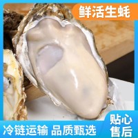 生蠔產(chǎn)地批發(fā)5斤整箱海鮮鮮活水產(chǎn)海蠣子帶殼牡蠣生蠔一件代發(fā)
